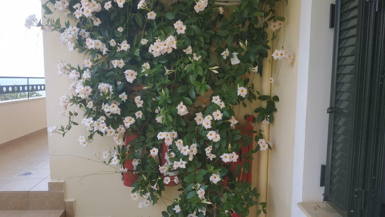 Hotel Patelis Poúlithra エクステリア 写真